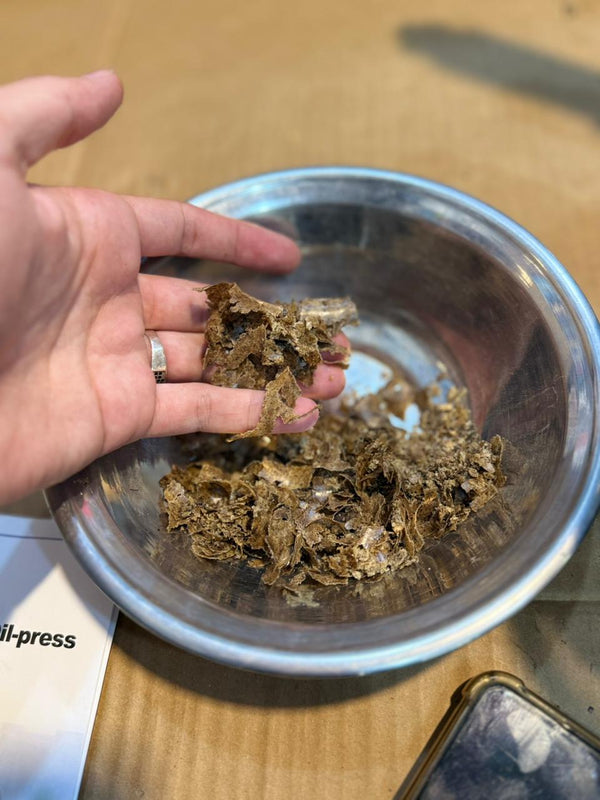 Oil press Machine Digital Model For commercial use. 1000 watt