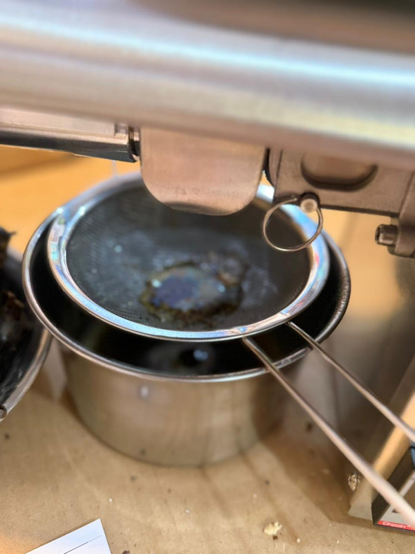 Oil press Machine Digital Model For commercial use. 1000 watt