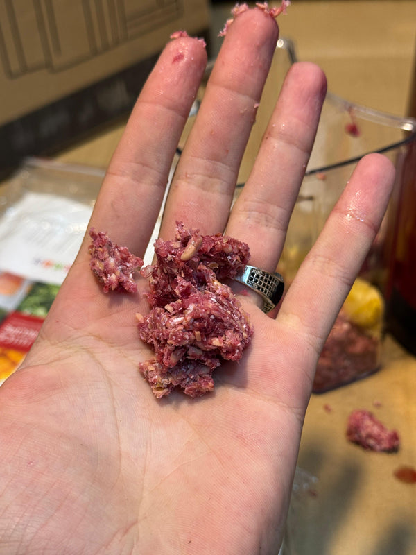 NBSBL Slow Juicer 180W | Fresh Juice at Home Easily