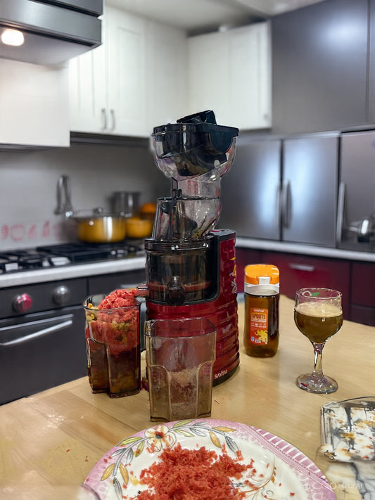 savtm 2 IN 1 Ice cream & cold press juicer JE-31 ( slow juicer )